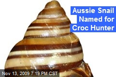 Aussie Snail Named for Croc Hunter