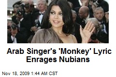 Arab Singer's 'Monkey' Lyric Enrages Nubians