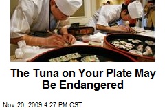 The Tuna on Your Plate May Be Endangered