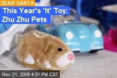 This Year's 'It' Toy: Zhu Zhu Pets