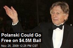 Polanski Could Go Free on $4.5M Bail