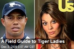 A Field Guide to Tiger Ladies