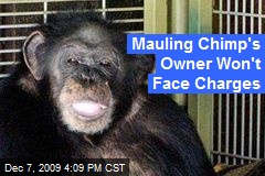 Mauling Chimp's Owner Won't Face Charges