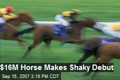 $16M Horse Makes Shaky Debut