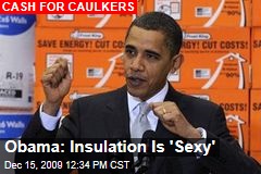 Obama: Insulation Is 'Sexy'