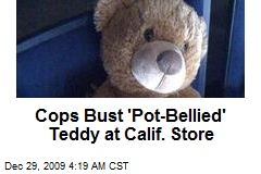 Cops Bust 'Pot-Bellied' Teddy at Calif. Store