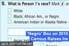 'Negro' Box on 2010 Census Raises Ire