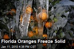 Florida Oranges Freeze Solid