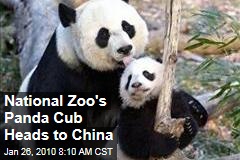 National Zoo's Panda Cub Heads to China