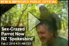 Sex-Crazed Parrot Now NZ 'Spokesbird'