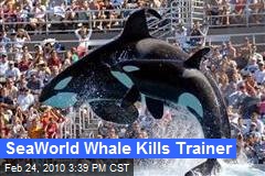 SeaWorld Whale Kills Trainer