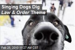 Singing Dogs Dig Law &amp; Order Theme