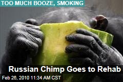 Russian Chimp Goes to Rehab