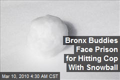 Bronx Buddies Face Prison for Hitting Cop With Snowball