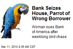 Bank Seizes House, Parrot of Wrong Borrower