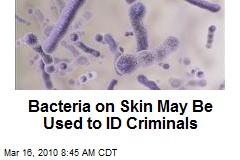 Bacteria on Skin May Be Used to ID Criminals