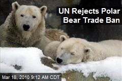 UN Rejects Polar Bear Trade Ban