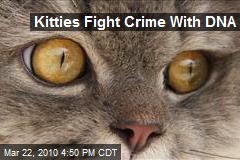 Kitties Fight Crime With DNA