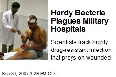 Hardy Bacteria Plagues Military Hospitals