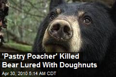 'Pastry Poacher' Killed Bear Lured With Donuts