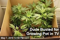 Dude Busted for Growing Pot in TV