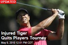 Injured Tiger Quits Players Tourney