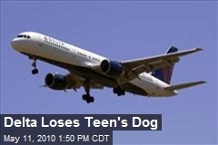 Delta Loses Teen's Dog
