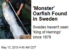 'Monster' Oarfish Found in Sweden