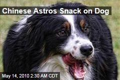 Chinese Astros Snack on Dog