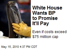 White House Wants BP to Promise It'll Pay
