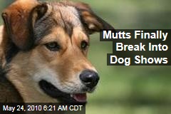 Mutts Finally Break Into Dog Shows