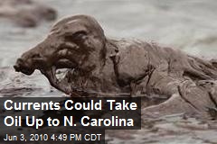 Currents Could Take Oil Up to N. Carolina