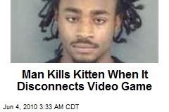 Man Kills Kitten When It Disconnects Video Game