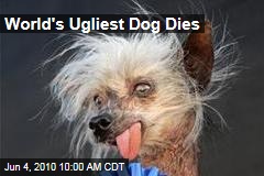 World's Ugliest Dog Dies