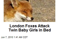 London Foxes Attack Baby Girls in Cribs