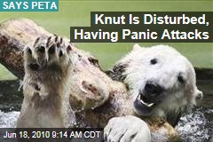 Knut Is Disturbed, Having Panic Attacks