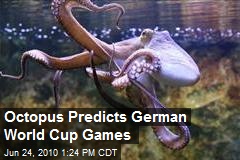 Octopus Predicts German World Cup Games