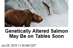 Genetically Altered Salmon May Be on Tables Soon