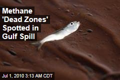 Methane 'Dead Zones' Spotted in Gulf Spill
