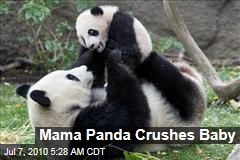 Mama Panda Crushes Baby
