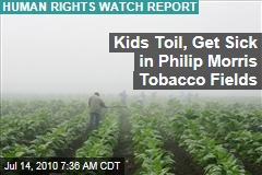 Kids Toil in Philip Morris' Tobacco Fields