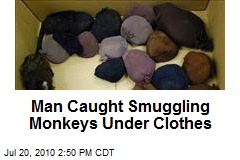 Man Caught Smuggling Monkeys Under Clothes