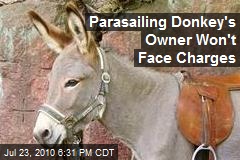 Parasailing Donkey's Owner Won't Face Charges