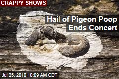 Hail of Pigeon Poop Ends Kings of Leon Show