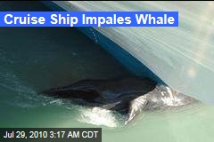 Cruise Ship Impales Whale
