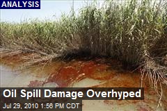 Oil Spill Damage Overhyped
