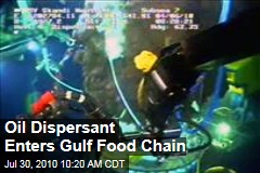 Oil Dispersant Enters Gulf Food Chain