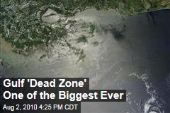 Gulf 'Dead Zone' One of the Biggest Ever