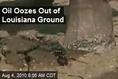 Oil Oozes Out of Louisiana Ground