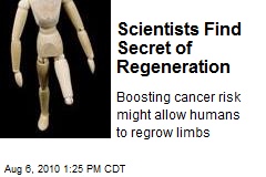Scientists Find Secret of Regeneration